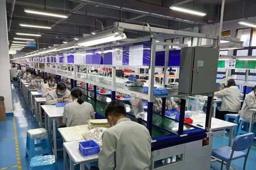 95后深圳老板的创新招聘观 不问你工资多少，只问‘增值电信业务经营’